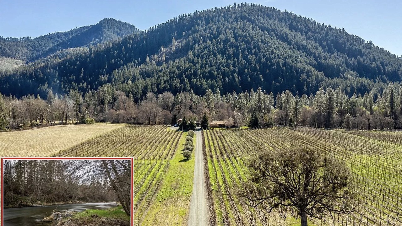 Photo of Others in Jacksonville