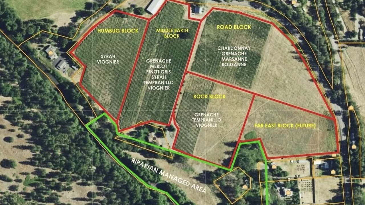 Photo of Others in Jacksonville