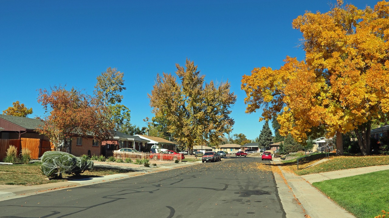 Photo of Outdoor in South Westminster