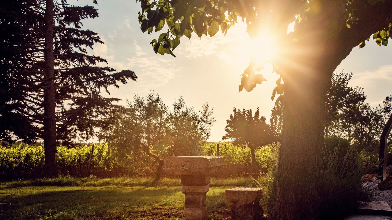 Photo of Outdoor in Dracevac