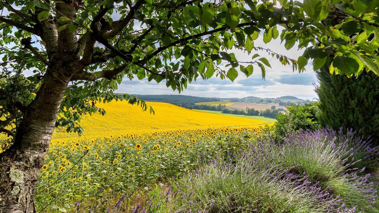 Photo of Others in Pinel-Hauterive