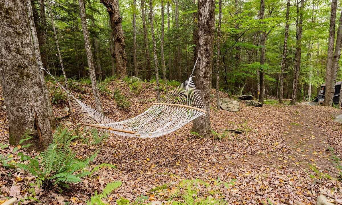 Photo of Outdoor in Oliverea