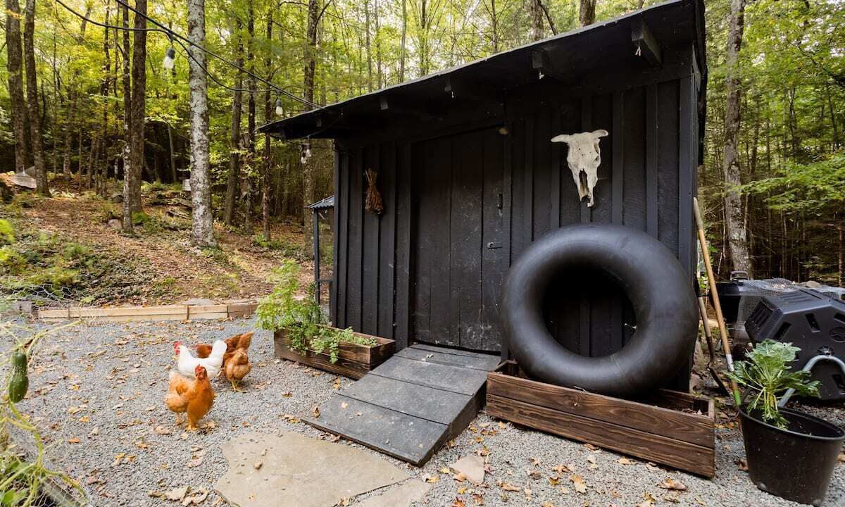 Photo of Others in Oliverea