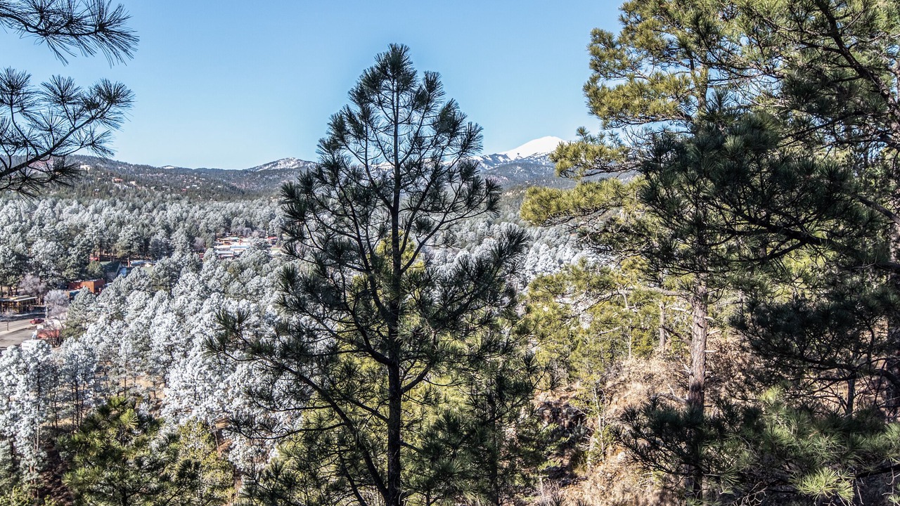 Photo of Others in Ruidoso