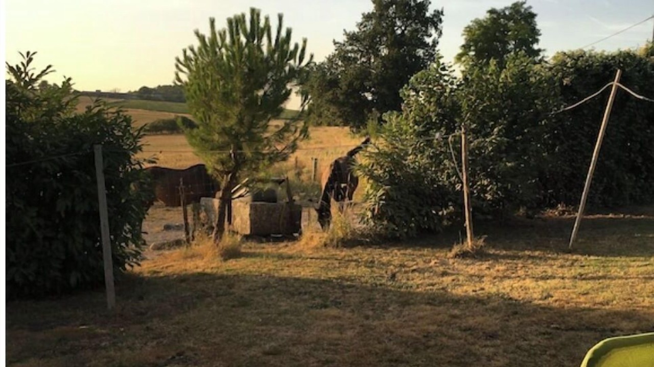 Photo of Others in Champagne-et-Fontaine