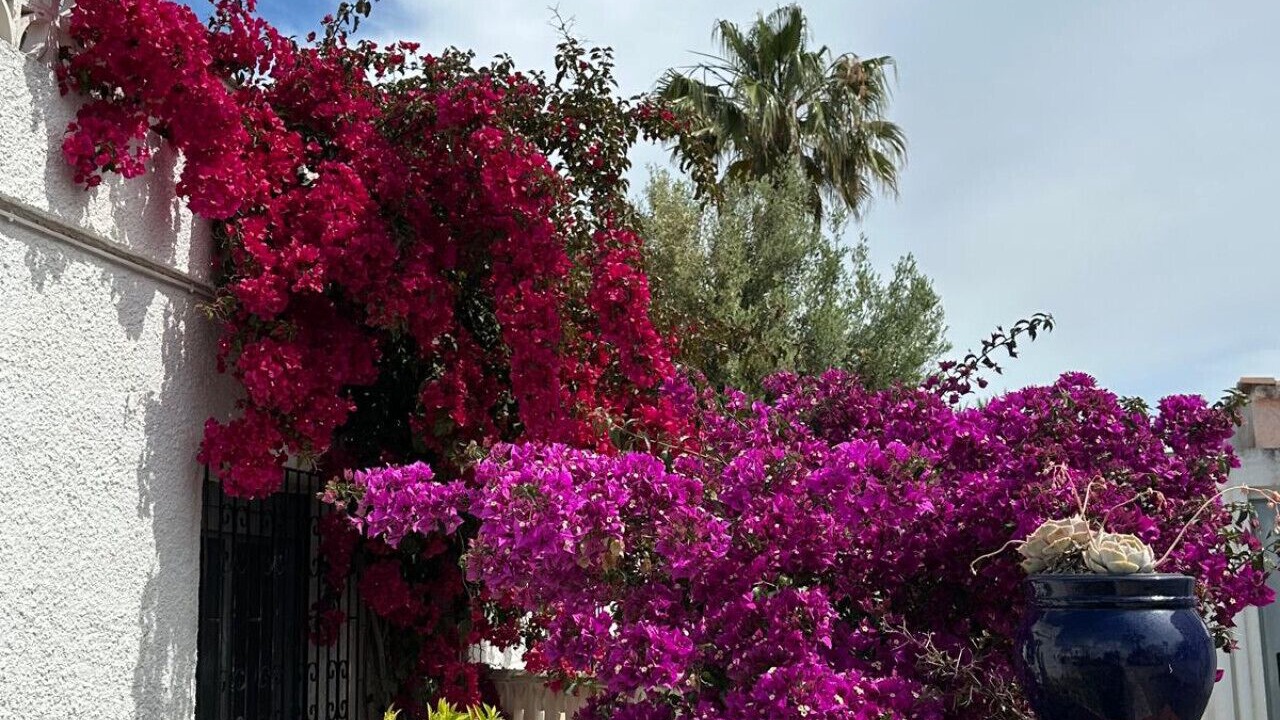 Photo of Outdoor in Vinaros