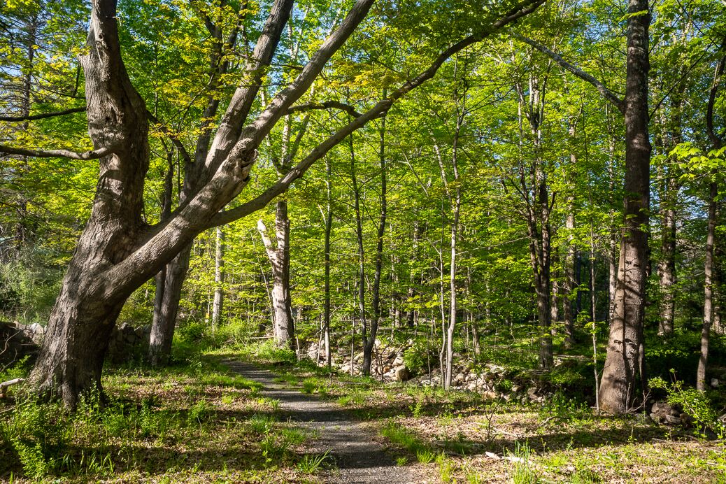Photo of Outdoor in Wallkill