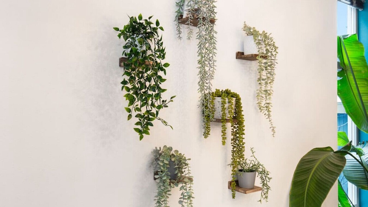 Photo of Others in Ballard