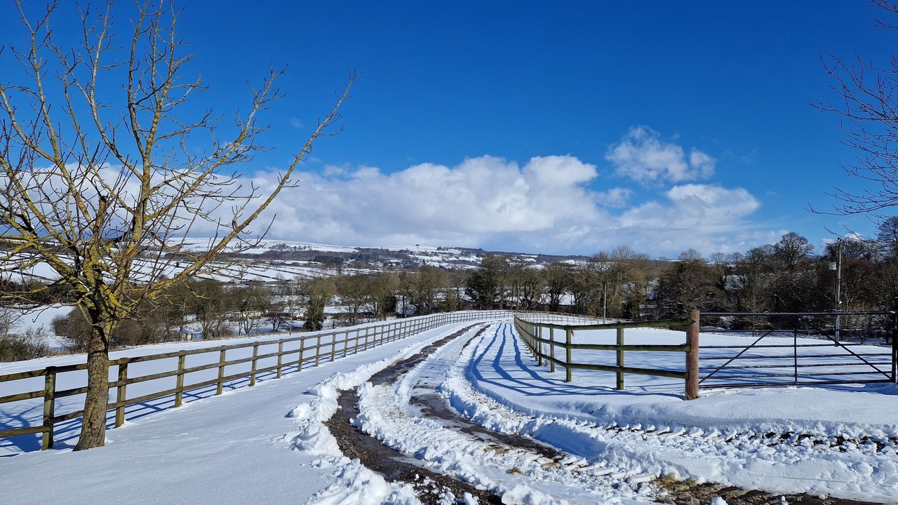 Photo of Bedroom in Bishop Auckland