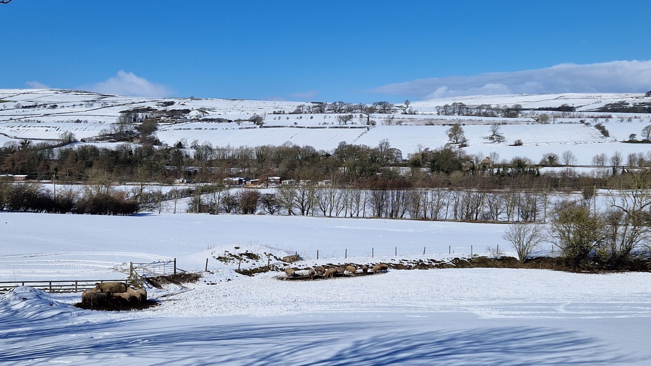 Photo of Others in Bishop Auckland