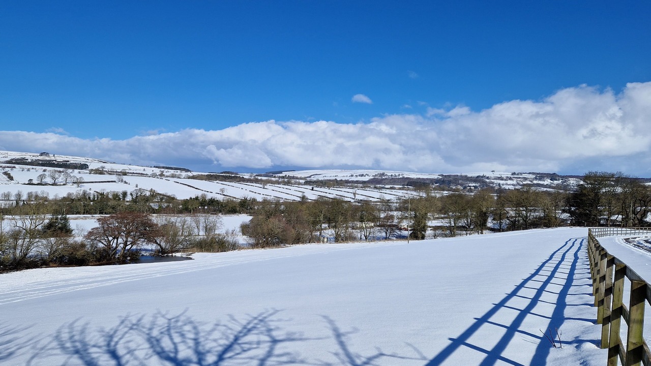 Photo of Others in Bishop Auckland