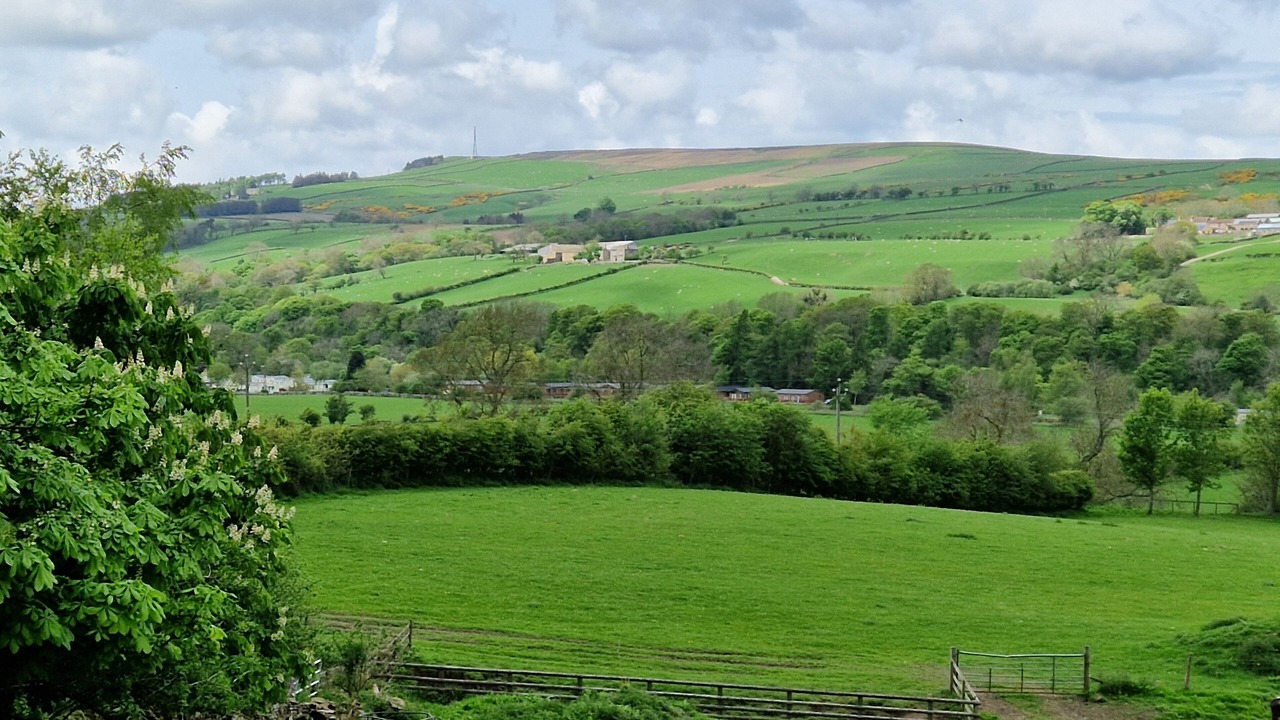 Photo of Outdoor in Bishop Auckland
