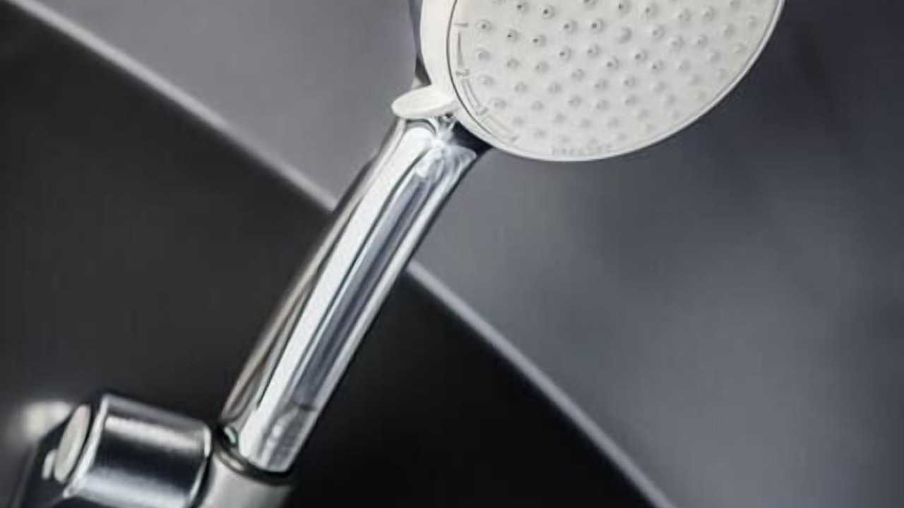 Photo of Others in North Berwick