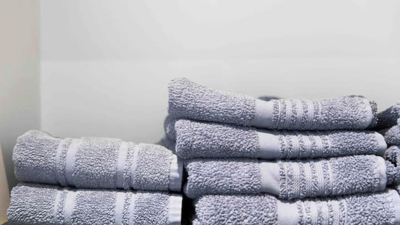 Photo of Others in Downtown Angers