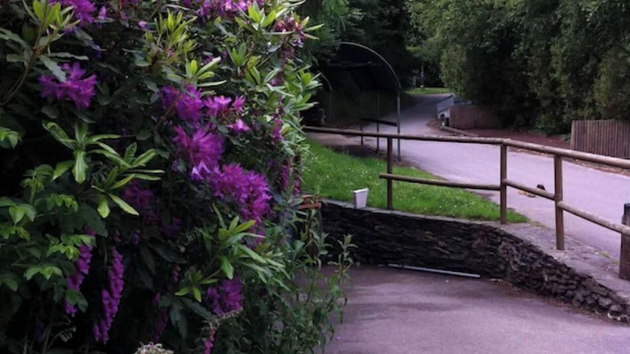 Photo of Outdoor in Caurel