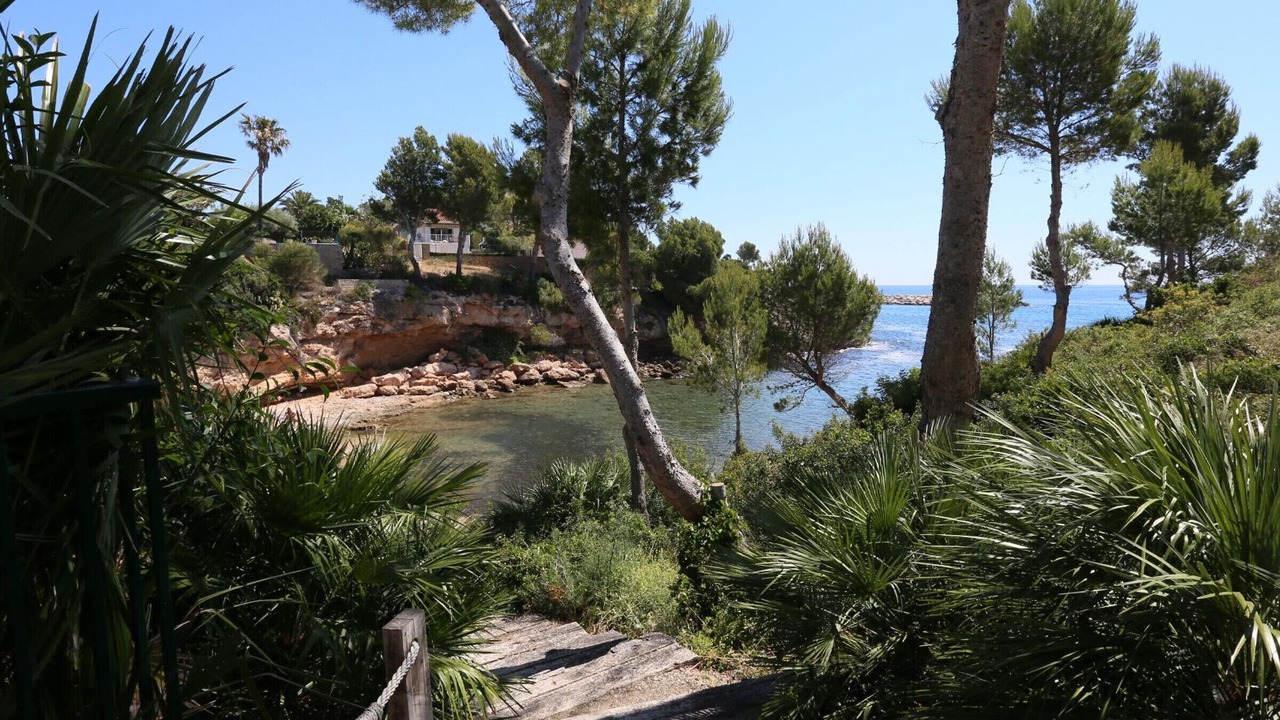 Photo of Others in Calafat