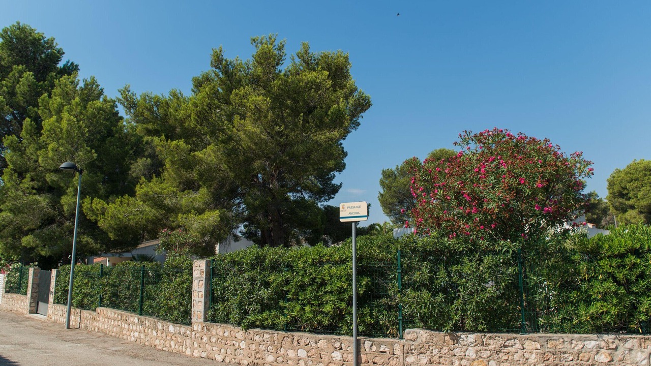 Photo of Outdoor in Calafat