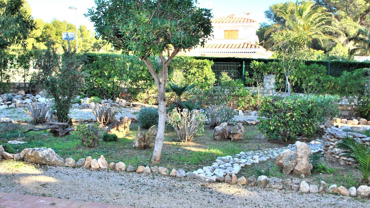 Photo of Outdoor in Calafat