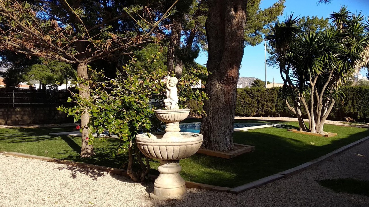 Photo of Outdoor in Calafat
