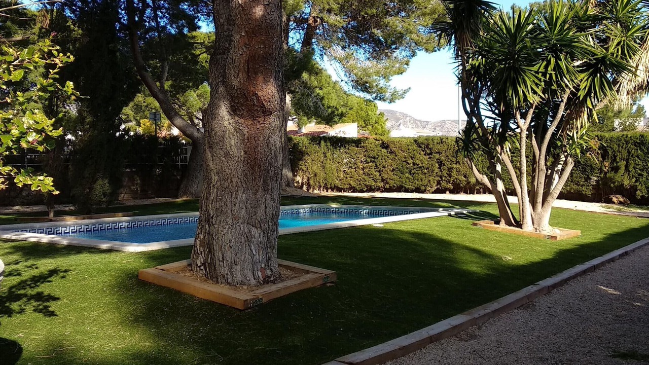 Photo of Outdoor in Calafat