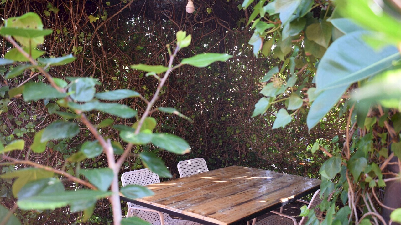 Photo of Outdoor in Calafat