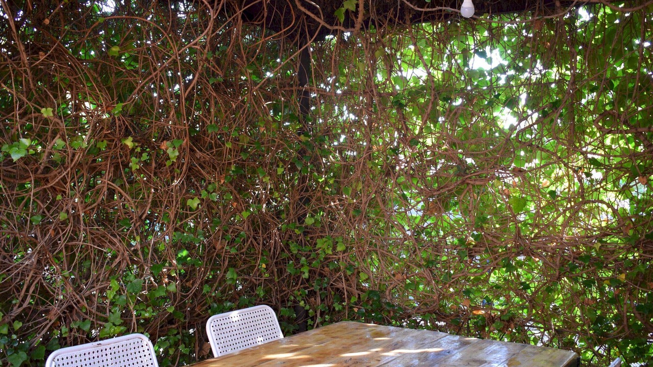 Photo of Outdoor in Calafat
