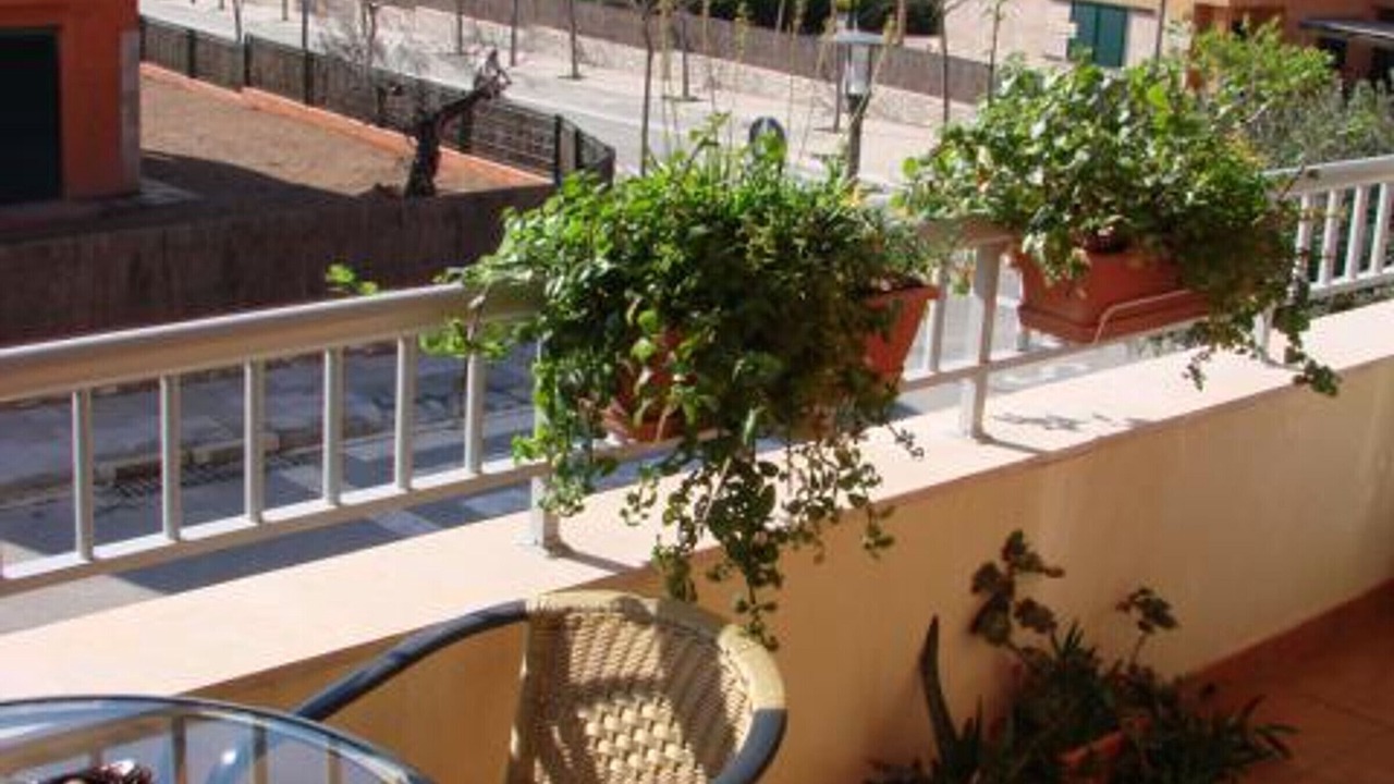Photo of Outdoor in Calafat