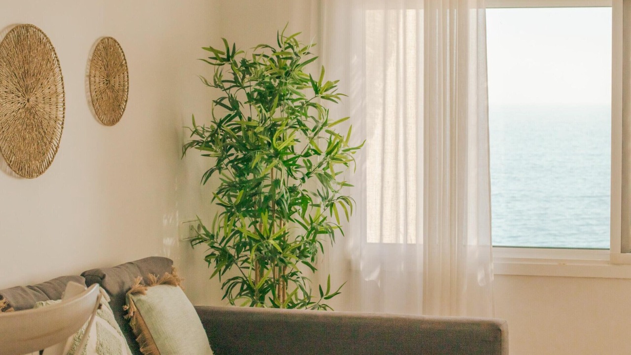 Photo of Livingroom in Calafat