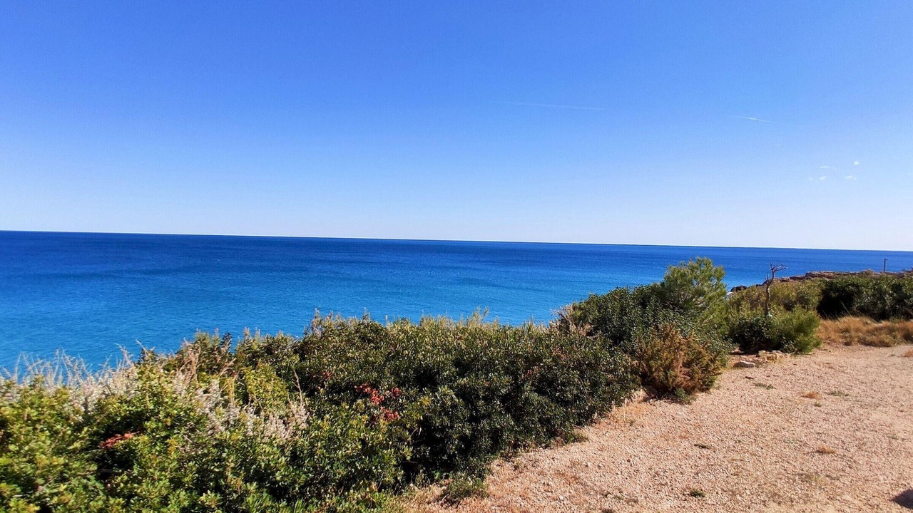 Photo of Others in Calafat