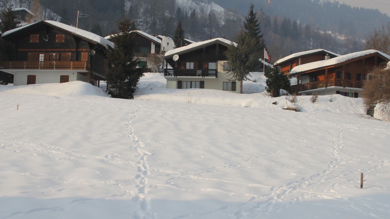 Photo of Others in Fiesch