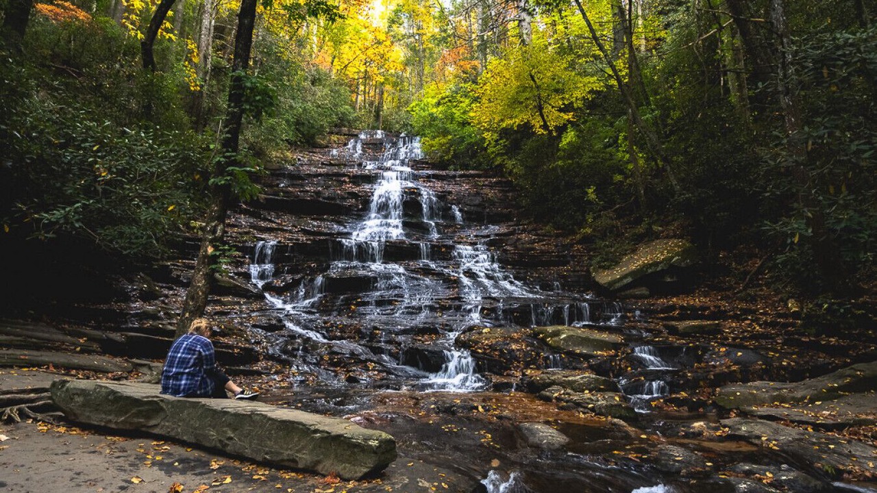 Photo of Others in Tiger