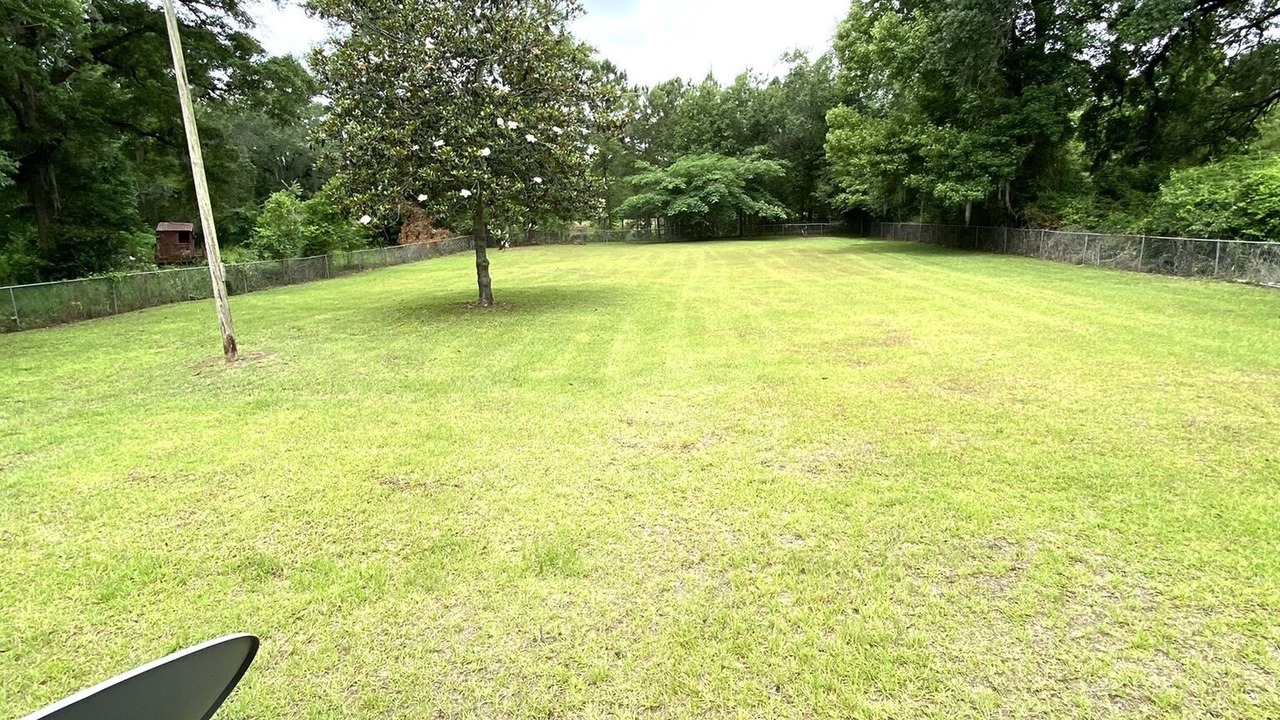 Photo of Outdoor in Albany