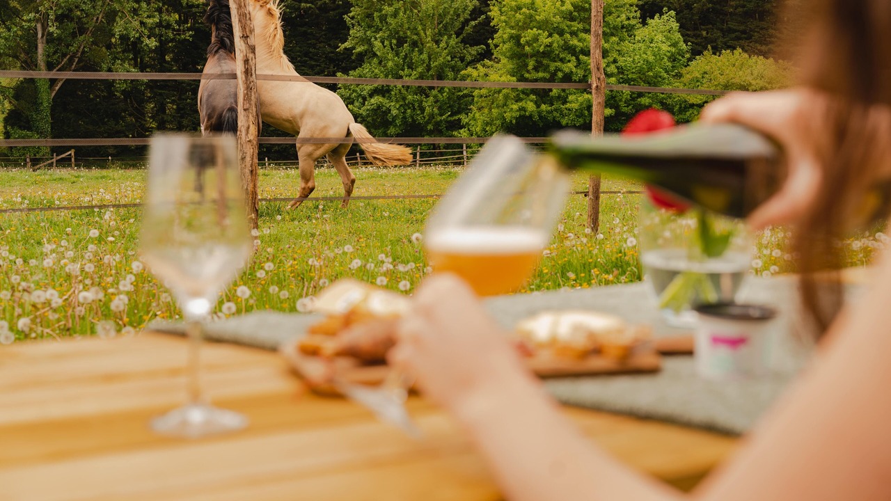 Photo of Others in Dame-Marie