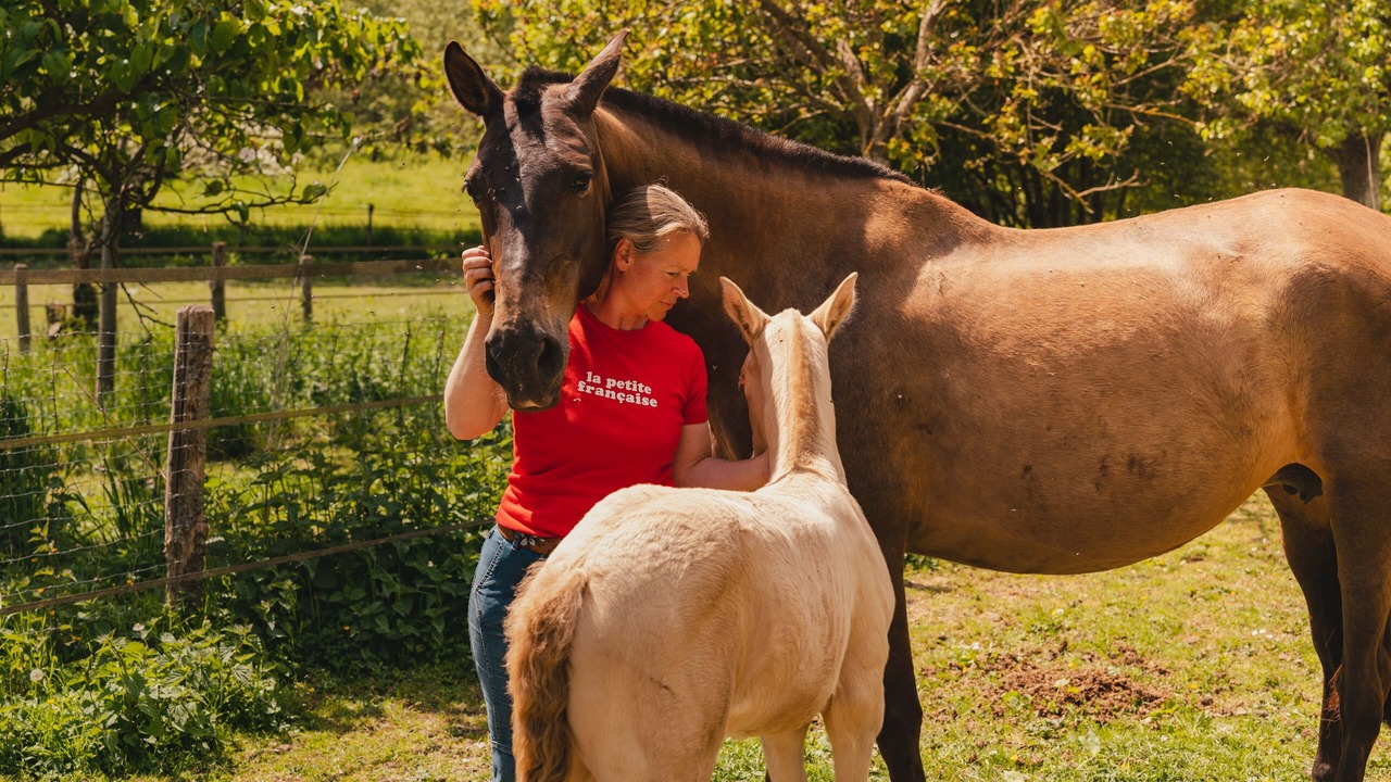 Photo of Others in Dame-Marie