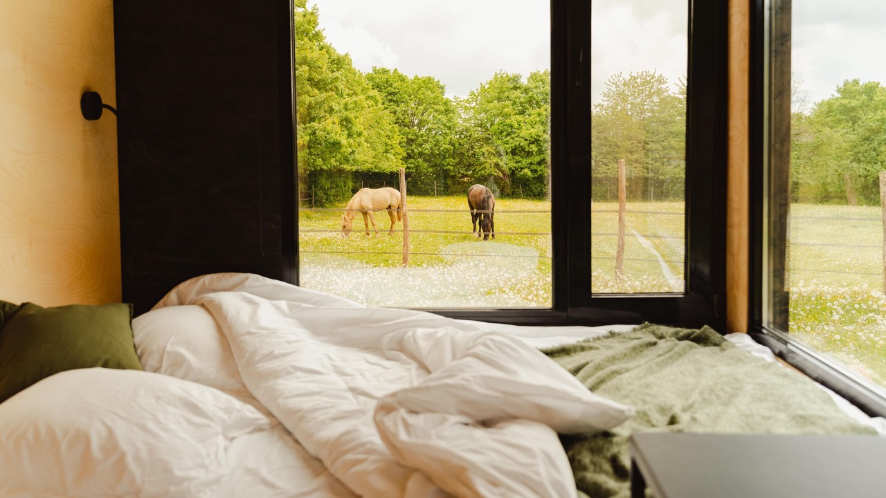 Photo of Bedroom in Dame-Marie