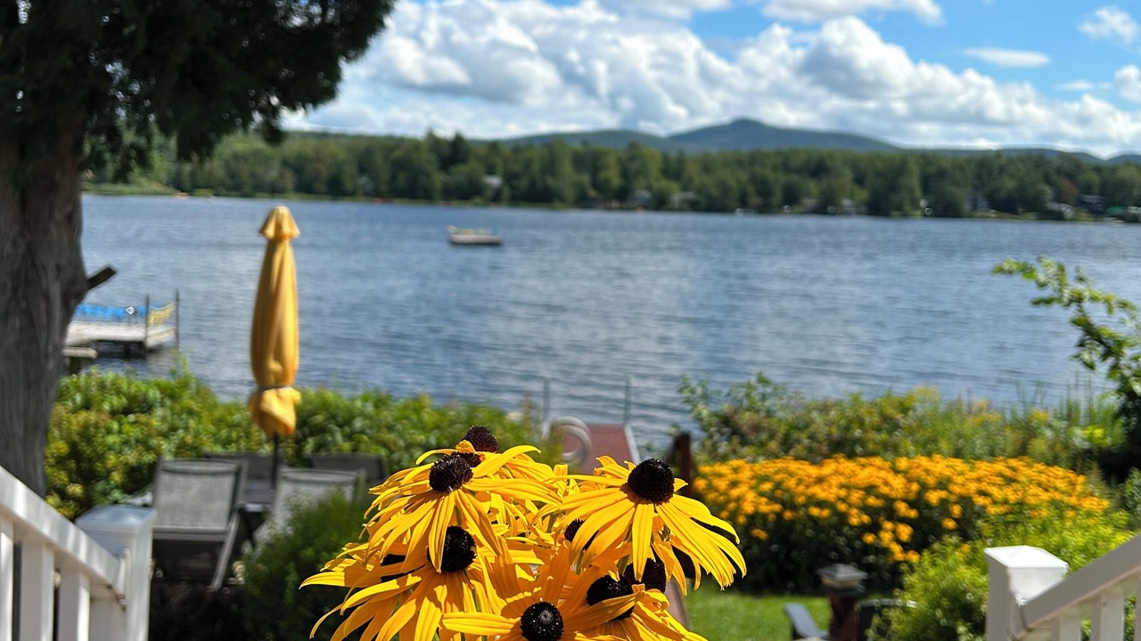 Photo of Outdoor in Dunham