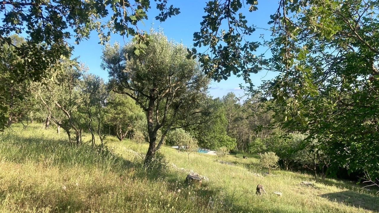 Photo of Others in Seillans