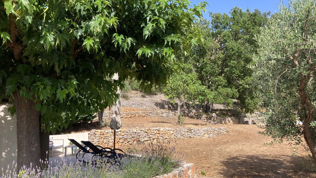 Photo of Outdoor in Seillans