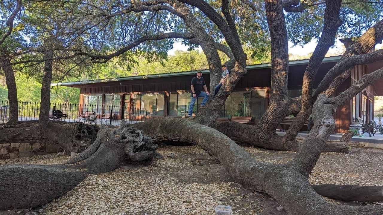 Photo of Outdoor in Mason