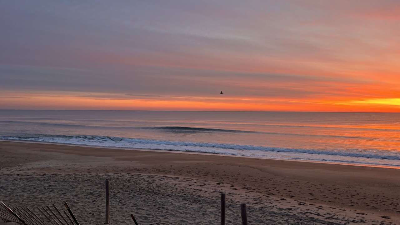 Photo of Others in Salisbury