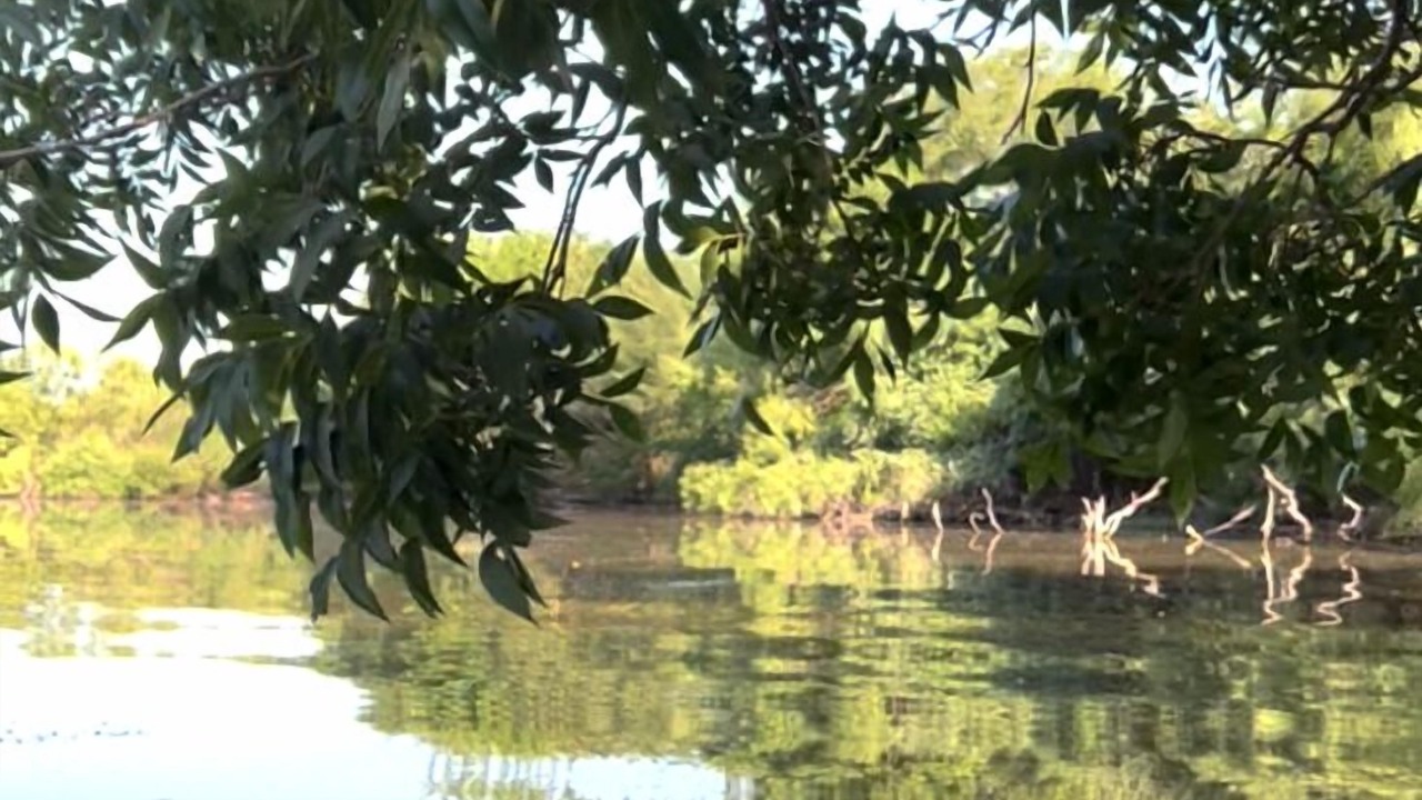 Photo of Outdoor in Dennis