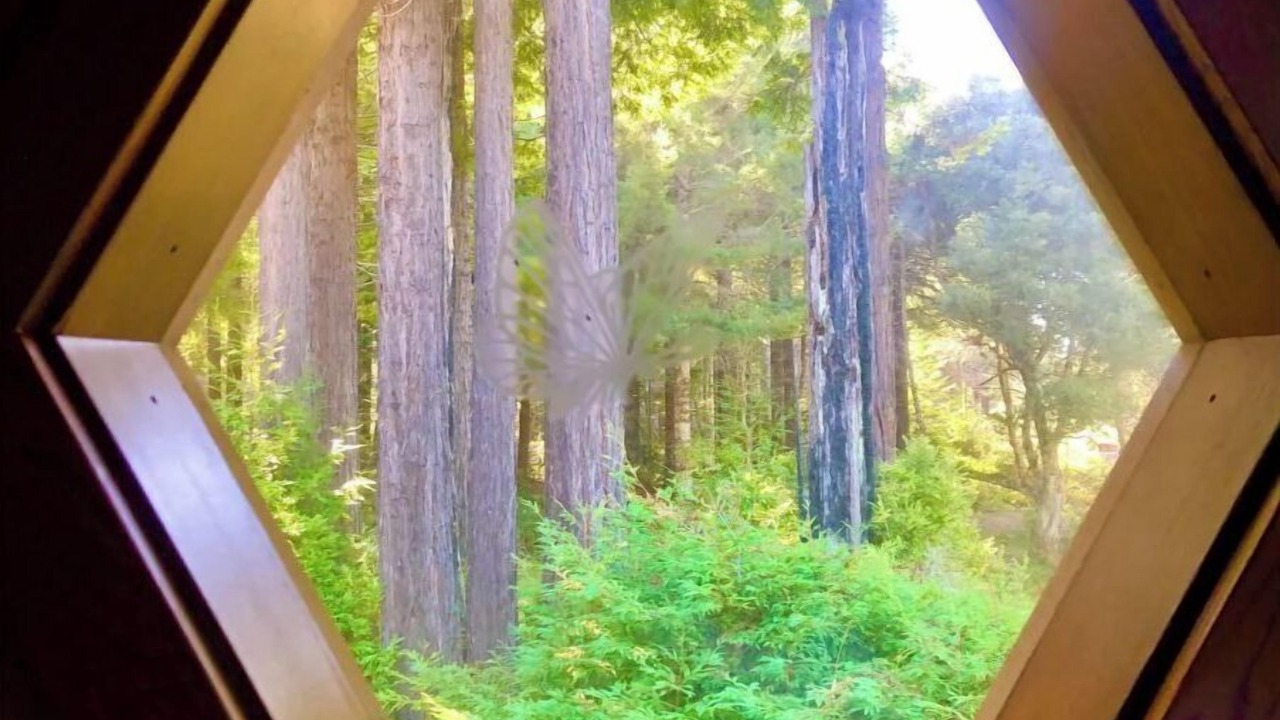 Photo of Others in Inglenook