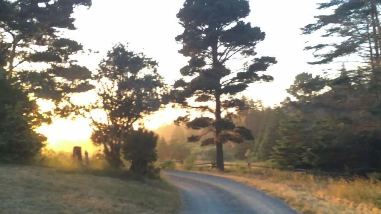 Photo of Others in Inglenook