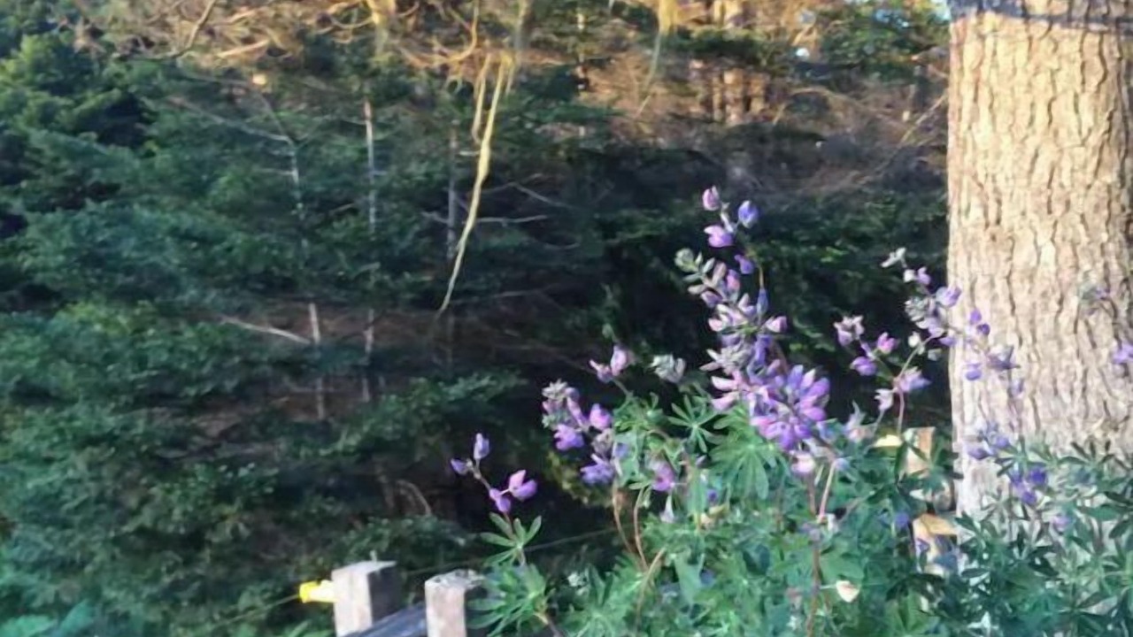 Photo of Outdoor in Inglenook