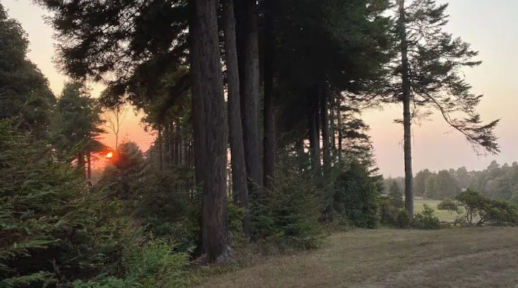 Photo of Outdoor in Inglenook