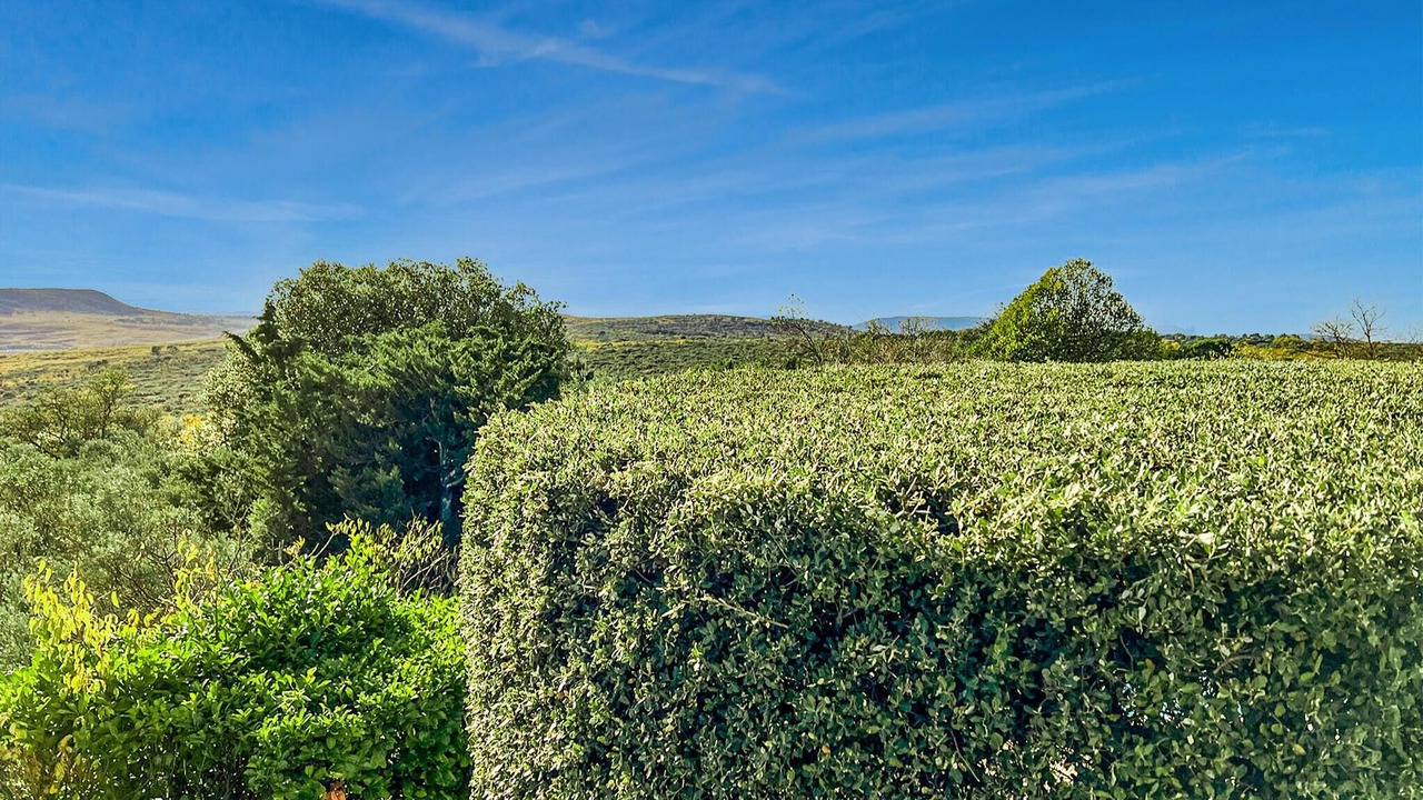 Photo of Bedroom in Ginasservis