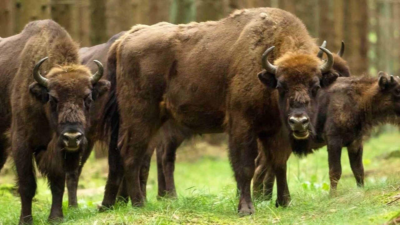 Photo of Others in Boderne