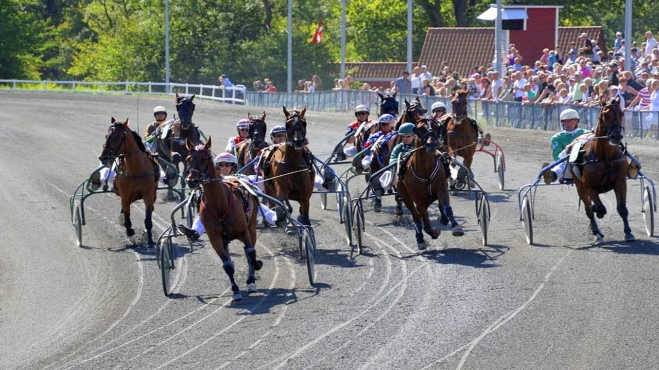 Photo of Others in Boderne
