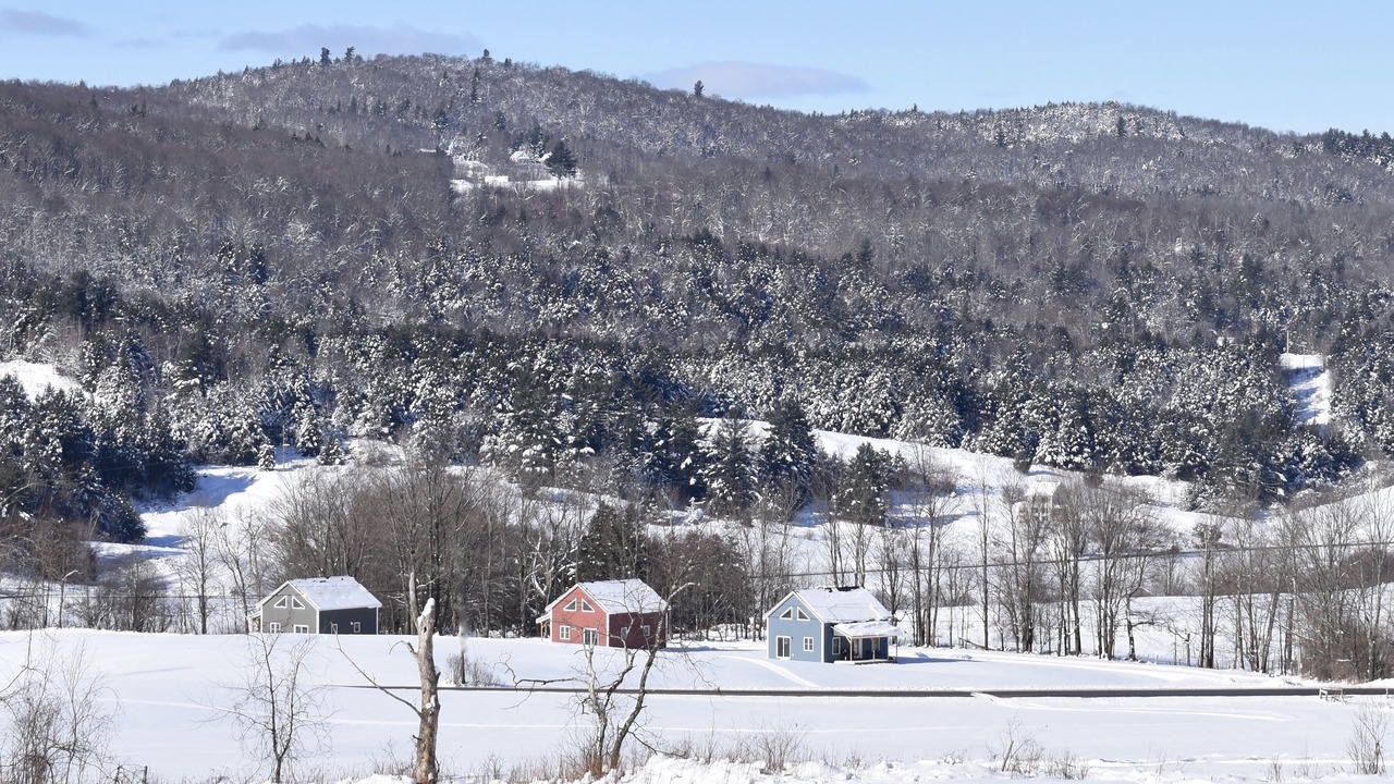 Photo of Others in Stowe Area