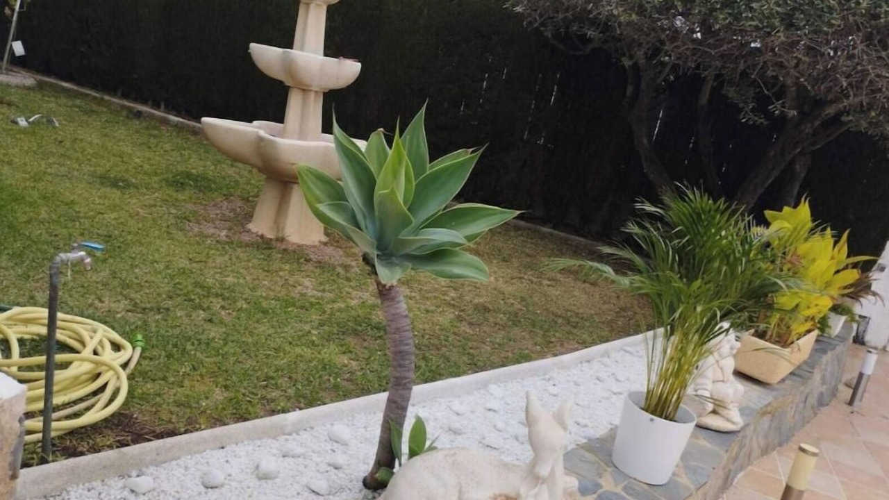 Photo of Outdoor in El Roc de Sant Gaieta
